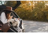 Tips & Tricks for the Best Road Trip with Your Dog