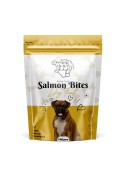 WOO FOOD SALMON BITES 100GM