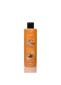 GINGERBERRY SHAMPOO 200 ML