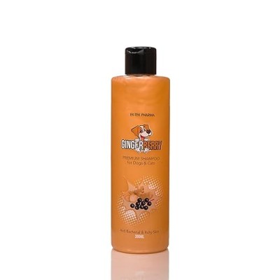 GINGERBERRY SHAMPOO 200 ML