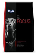 FOCUS ADULT 100GM