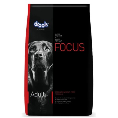 FOCUS ADULT 100GM