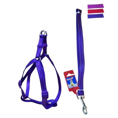 Fekrix 2 Lines Dog Leash And Harness 10mm 48 inch 12-16 Inch