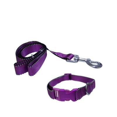 Fekrix Nylon Collar And Leash For Dogs 48 Inch