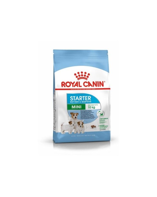 ontbijt fluit rechtbank Buy Royal Canin Mini Starter Dog Food, Royal Canin Dog Food Online
