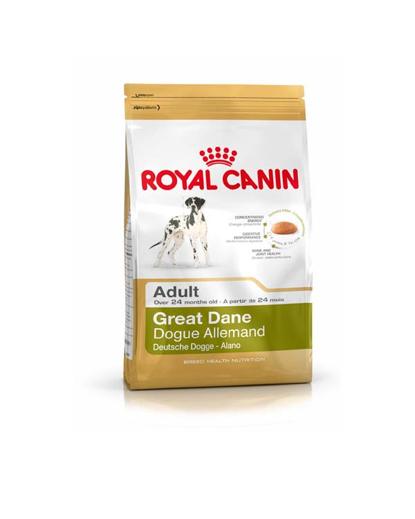 great dane dog food requirements