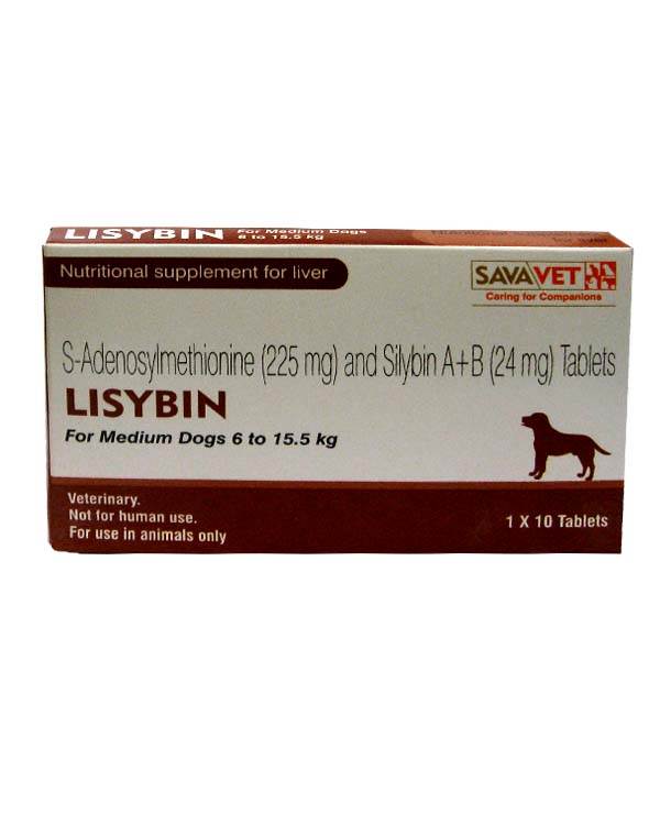 lisybin medium