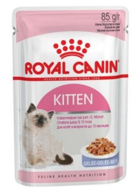 ROYAL CANIN PERSIAN IN JELLY CAT FOOD 85GM GRAVY