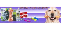 Dental Care & Chews