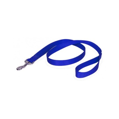 Fekrix Nylon Lease 1-Inch (Blue)
