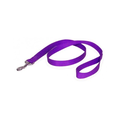 Fekrix Nylon Lease Small For Dog (Purple)