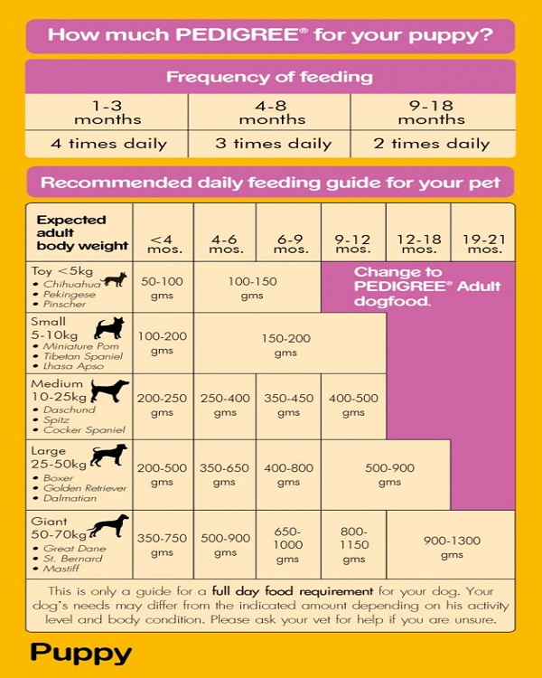 Pedigree Puppy Feeding Chart