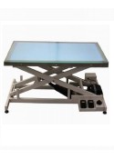 Toex Aeolus Eletric Lifting Table With LED Light (FT-829)