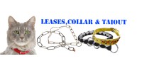 Leases,Collar & Taiout