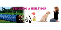 Training & Behavior