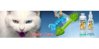 Dental Care