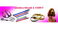 Leases,Collar & taiout