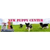 New Puppy Center